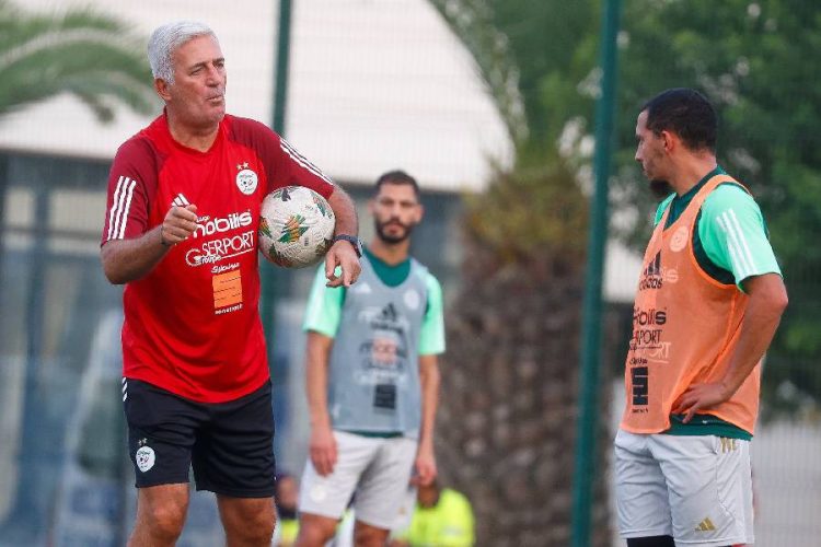 Algérie Foot